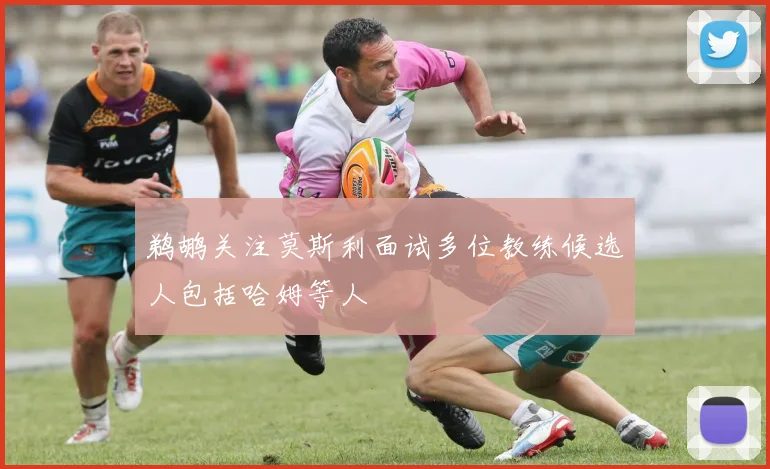 鹈鹕关注莫斯利面试多位教练候选人包括哈姆等人