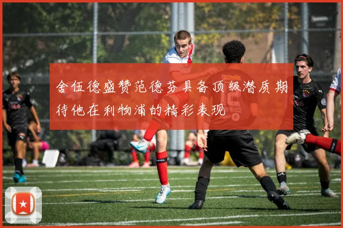 舍伍德盛赞范德芬具备顶级潜质期待他在利物浦的精彩表现